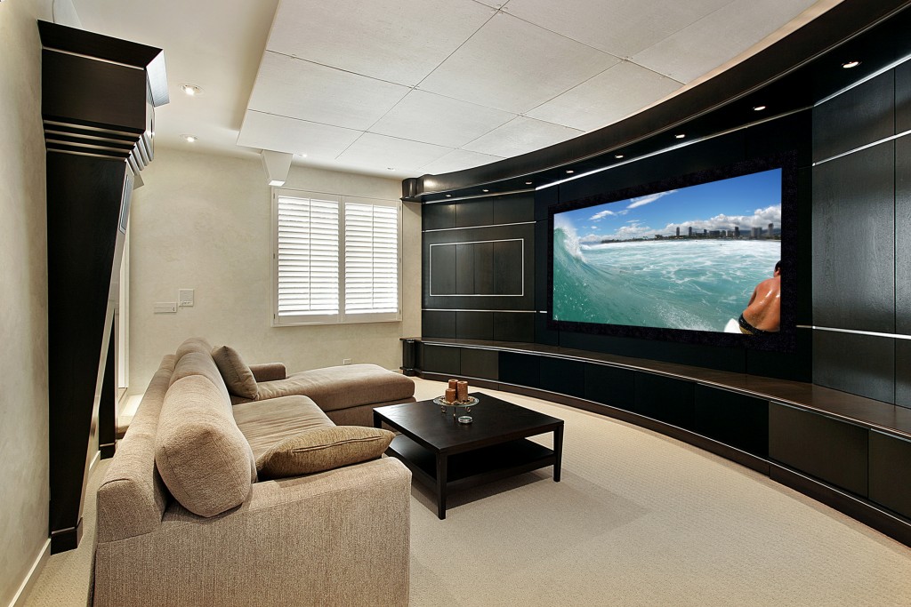 Reference Home theater with pic